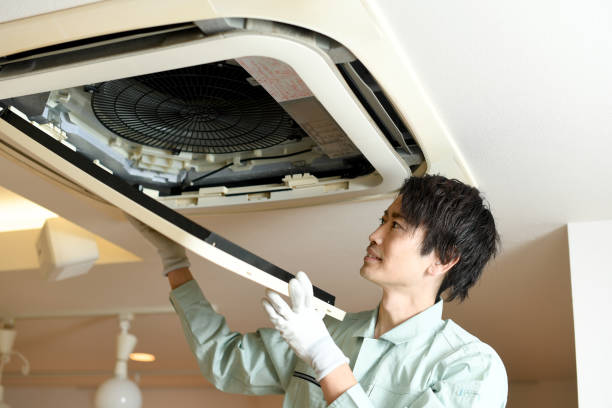 Best Home Air Vent Cleaning  in Edwardsville, KS